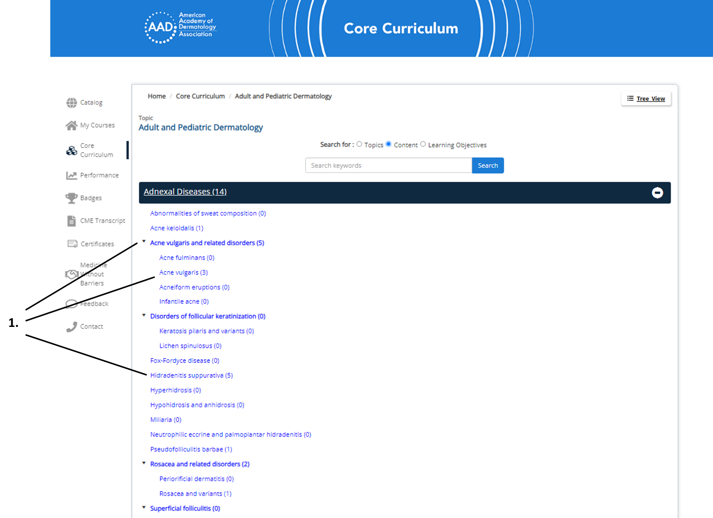A screenshot of a computerDescription automatically generated
